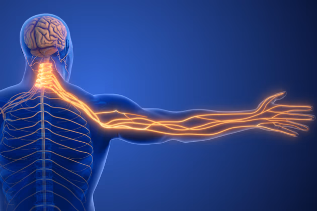 Nöropatik Ağrılarda Egzersiz İşe Yarar mı ?