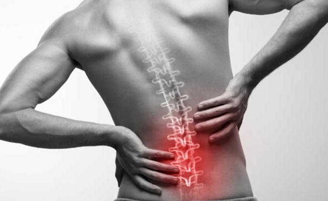 Bel ve Boyun Fıtığında Fizik Tedavi Neden ve Ne Kadar Etkili?