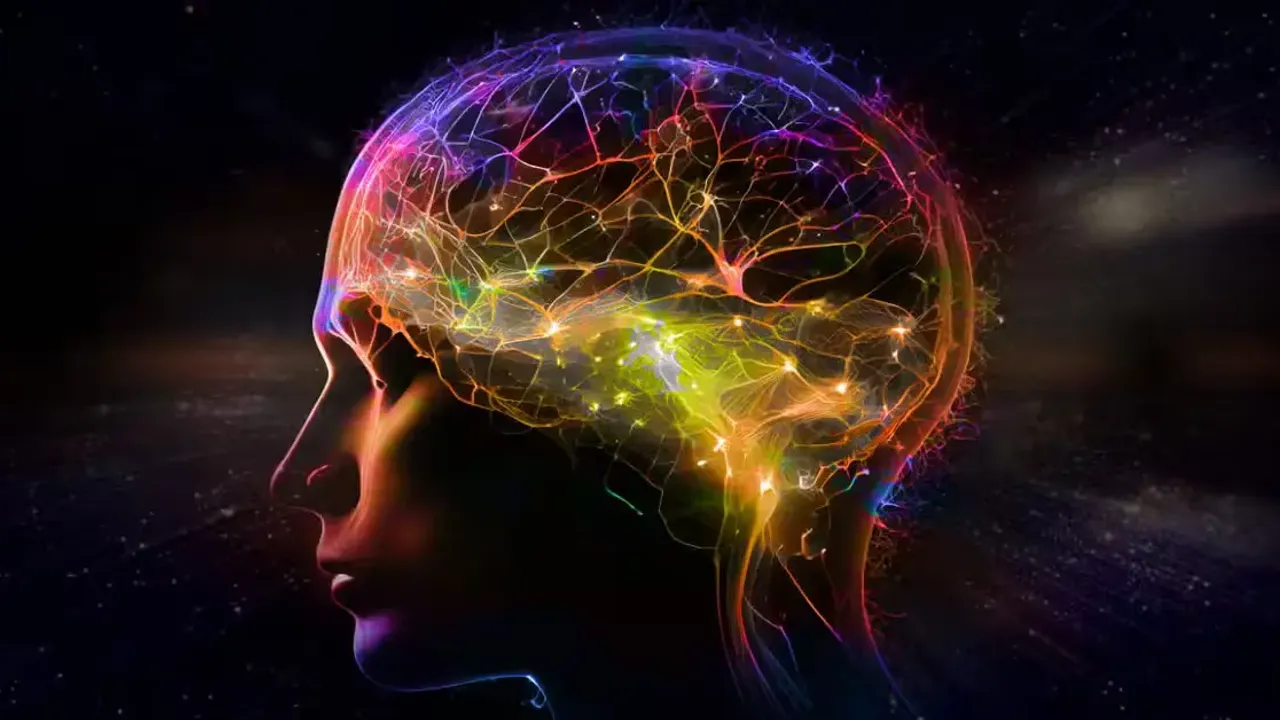 Beyin Plastisitesi ve Rehabilitasyon: Fonksiyonların Yeniden Öğrenilmesi Mümkün mü?