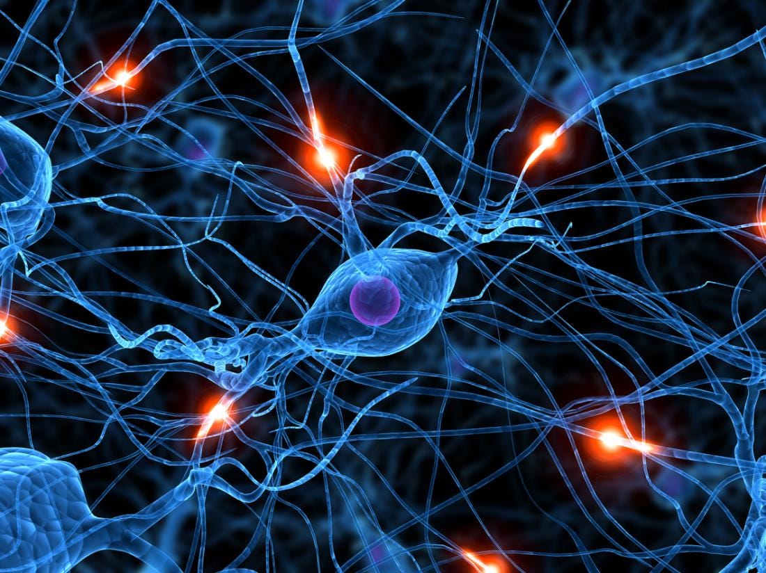 Beyin-Sinir Bağlantısını Güçlendiren Rehabilitasyon Yaklaşımları Nelerdir?