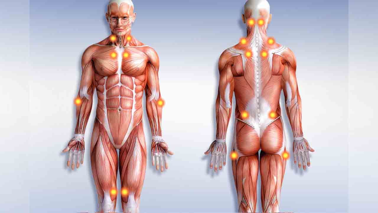 Fibromiyalji Hastalarında Fizyoterapi ile Ağrı Yönetimi