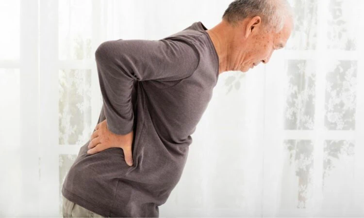 Kauda Equina Sendromu Belirtileri Nelerdir? Ne Zaman Tehlikeli Olabilir?