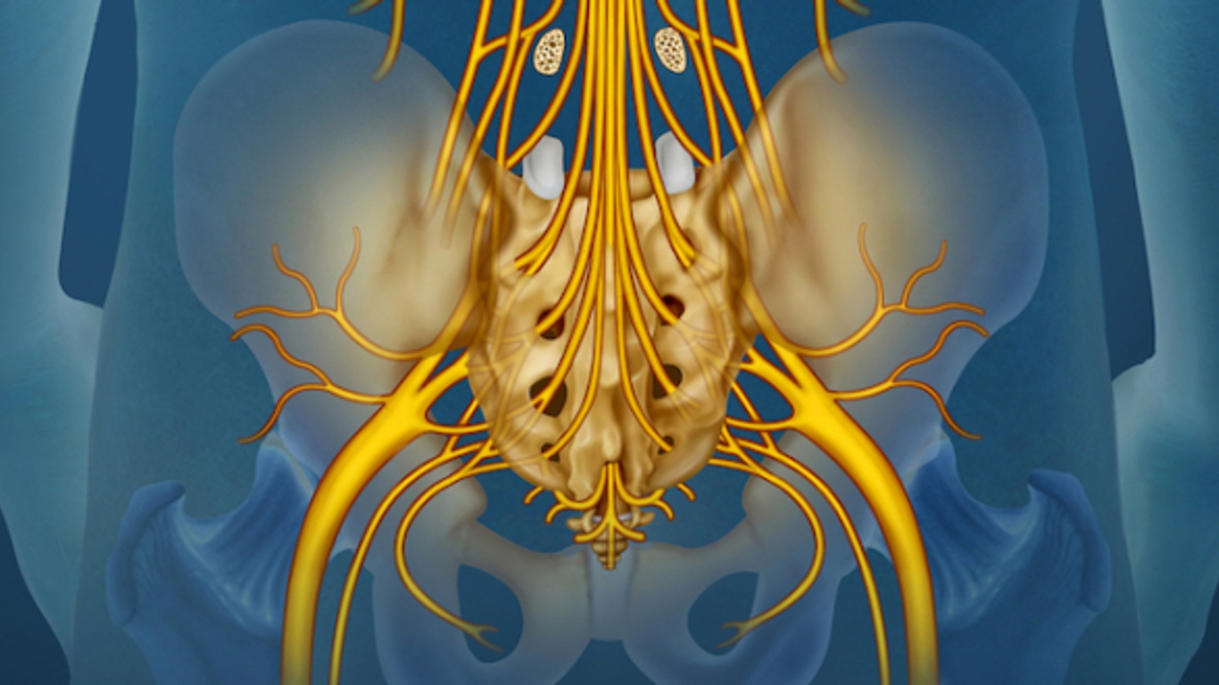 Kauda Equina Sendromunda Robotik Rehabilitasyonun Önemi