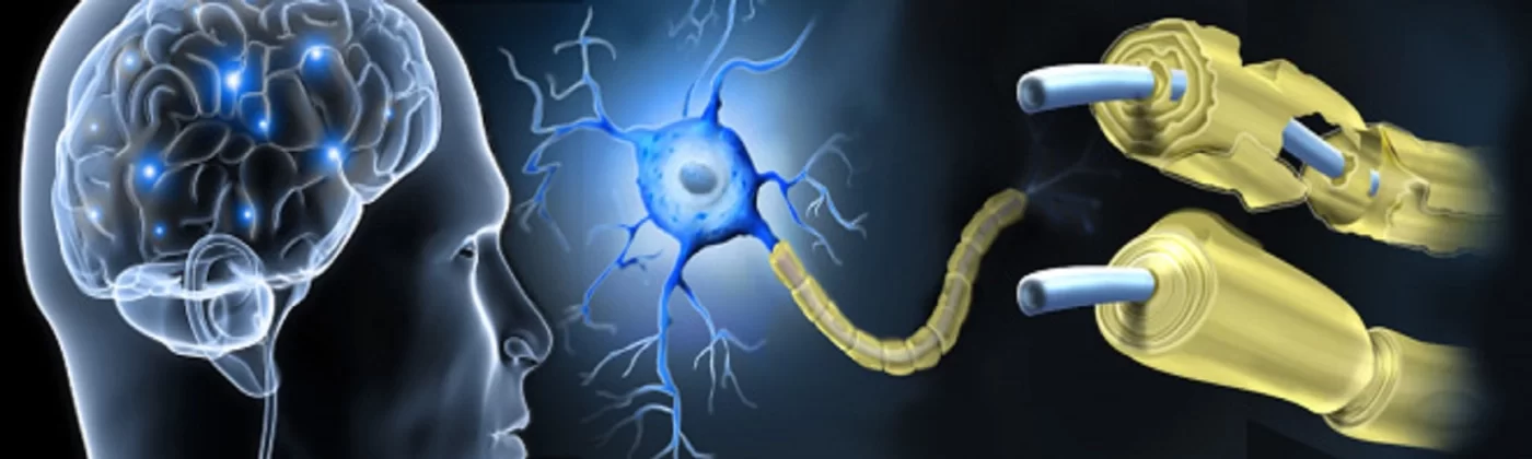 MS Sadece Yaşlılarda Mı Görülür?