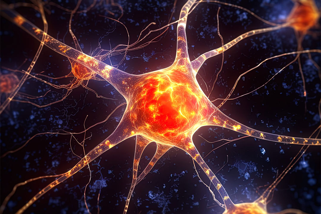 Multipl Sklerozda Yorgunluk Dönemlerinin Yönetimi ve Enerji Koruma