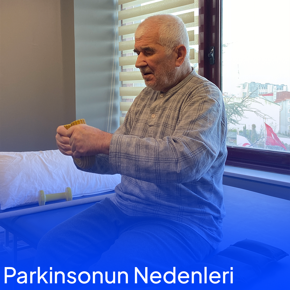 Parkinsonun Nedenleri 