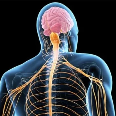 ALS Hastalığında Robotik Rehabilitasyon