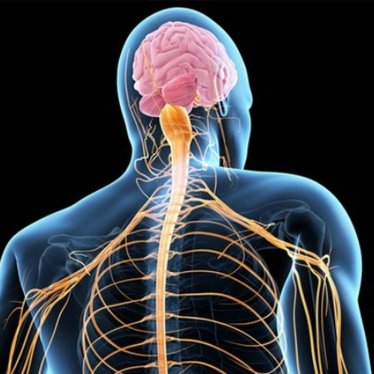 Amyotrofik Lateral Skleroz (ALS) ve Fizik Tedavi Süreci