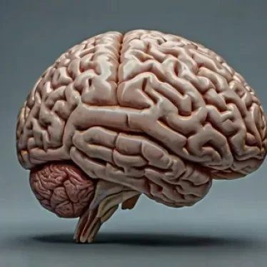 Anoksik Beyin Hasarı Tedavi Edilebilir mi ?