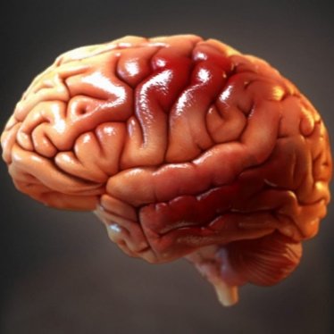 Anoksik Beyin Hasarında Robotik Rehabilitasyonun Önemi