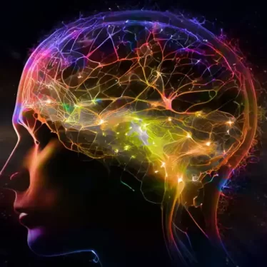 Beyin Plastisitesi ve Rehabilitasyon: Fonksiyonların Yeniden Öğrenilmesi Mümkün mü?