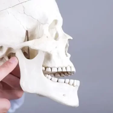 Çene Eklemi (TMJ) Problemleri Günlük Yaşamı Etkiler mi?