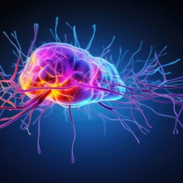 Fizik Tedavide Nöroplastisiteyi Artıran Yaklaşımlar