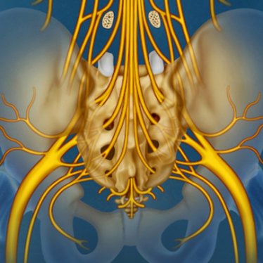 Kauda Equina Sendromunda Robotik Rehabilitasyonun Önemi