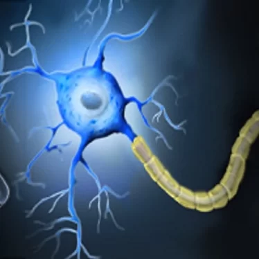 MS Sadece Yaşlılarda Mı Görülür?