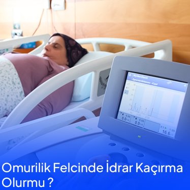 Omurilik Felcinde İdrar Kaçırma Nasıl Olur 