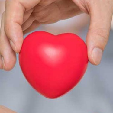 Organ Nakli Sonrasında Fizik Tedavi Süreci Gerekir mi?