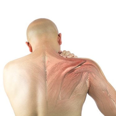 Yüksek Performanslı Sporcularda Mikrotravmalar ve Fizik Tedavi